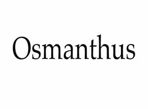 OSMANTHUS