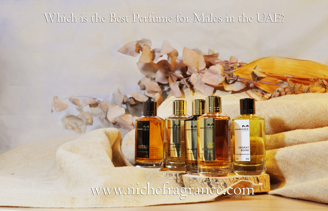 Which is the Best Perfume for Males in the UAE?