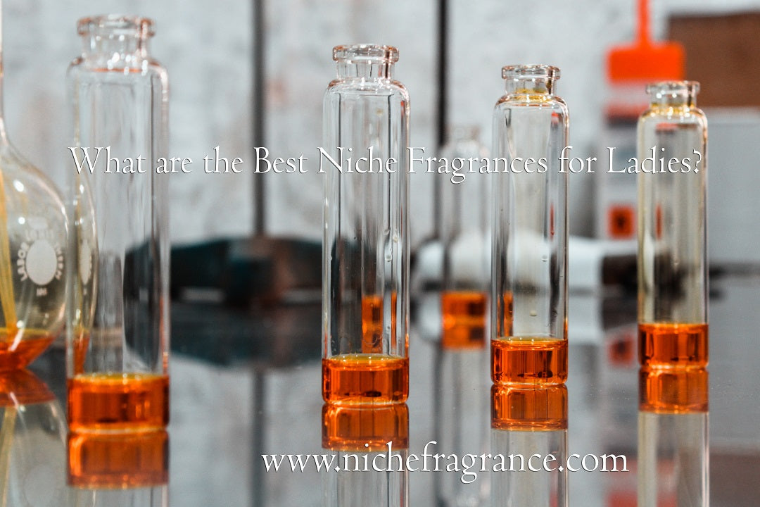 What are the Best Niche Fragrances for Ladies in UAE?