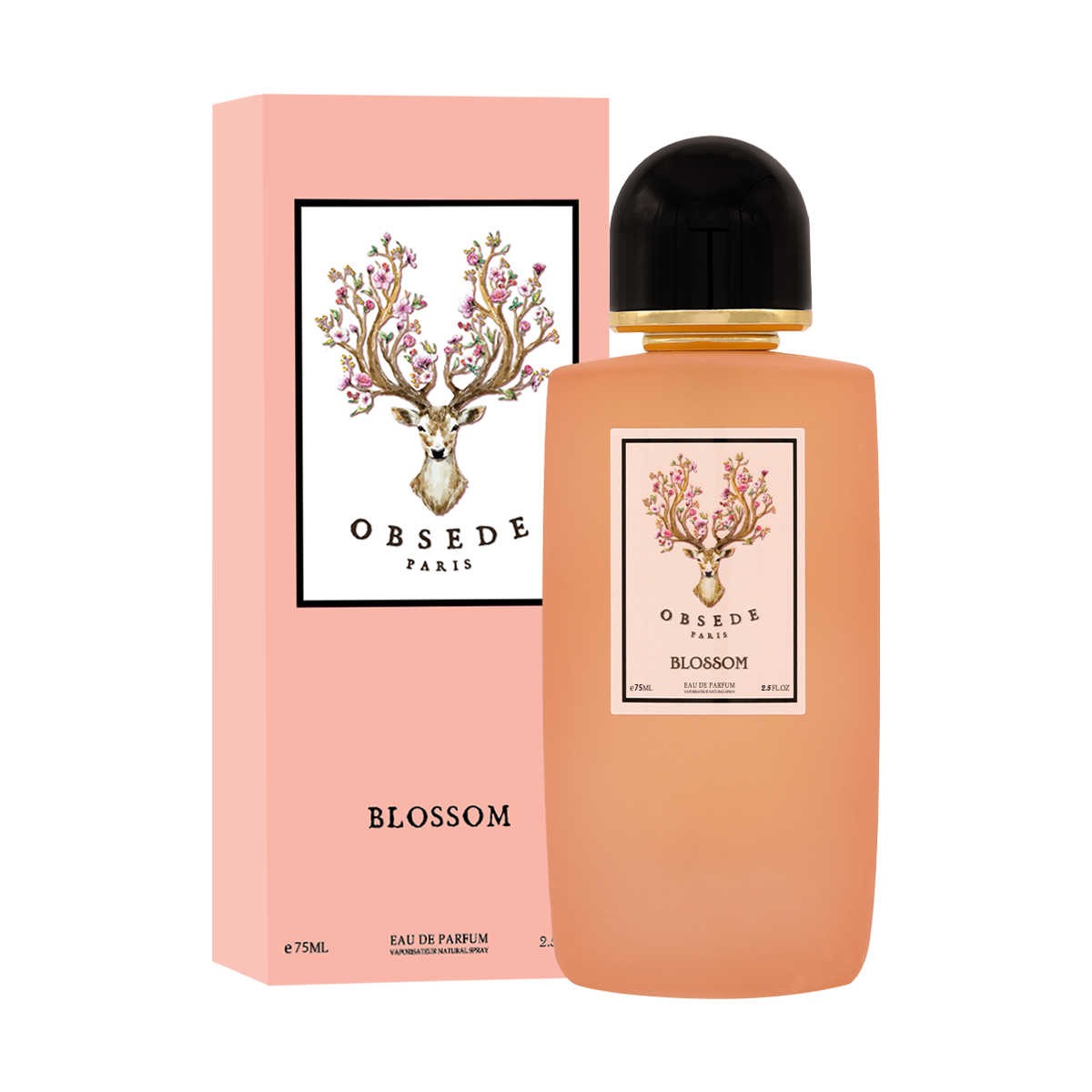 OBSEDE Blossom